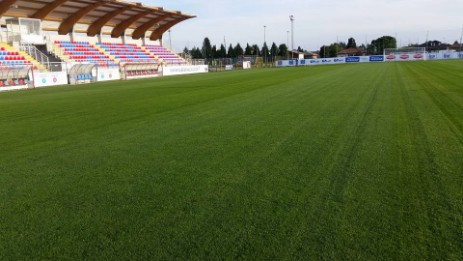 campo rigenerato
